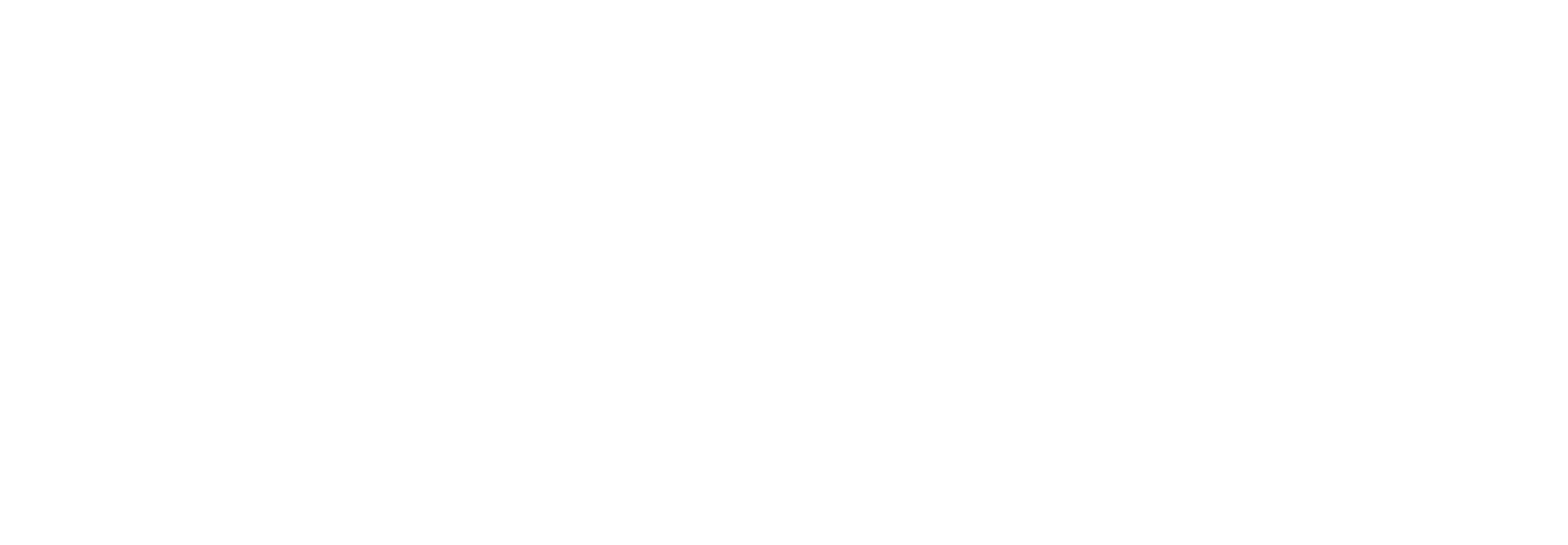 Cevin Fisher Logo